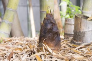 勃起のメカニズムとは？